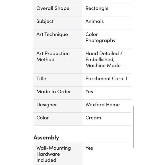 Rosecliff Heights Botanical Wall Art Prints " Parchment Coral I " 4 - Pieces - Picture 7 of 9